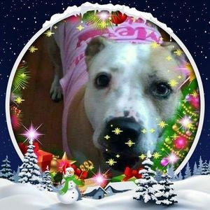 Meet your Posher, Elaina renee